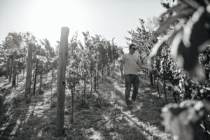Andrew Cebulka wine maker